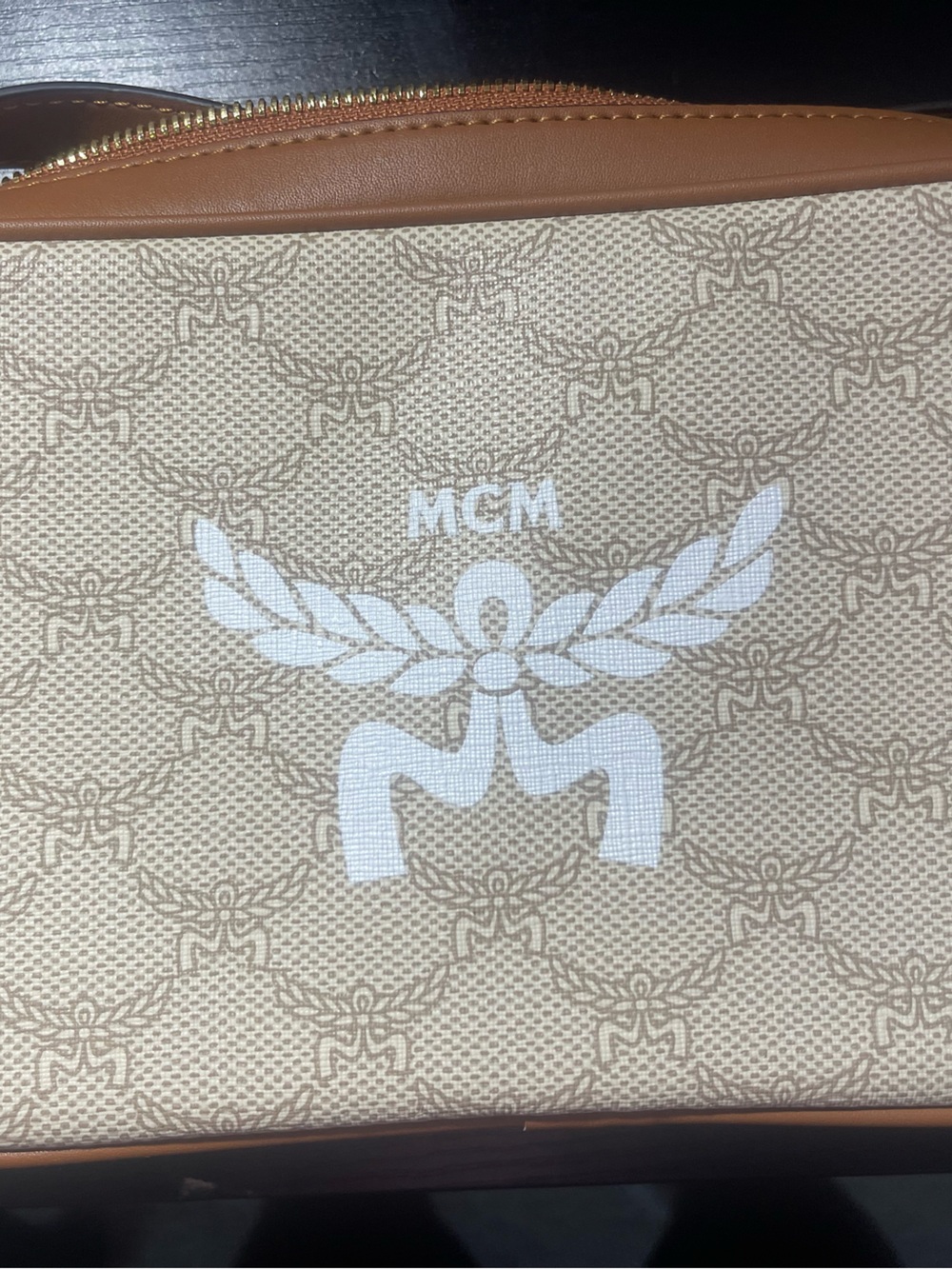 Brown Crossbody - Picture 5 of 6